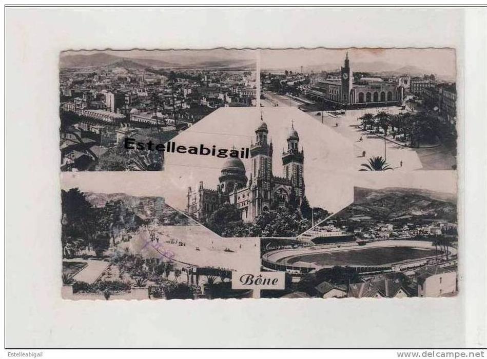 (j)* bone   Vue générale *