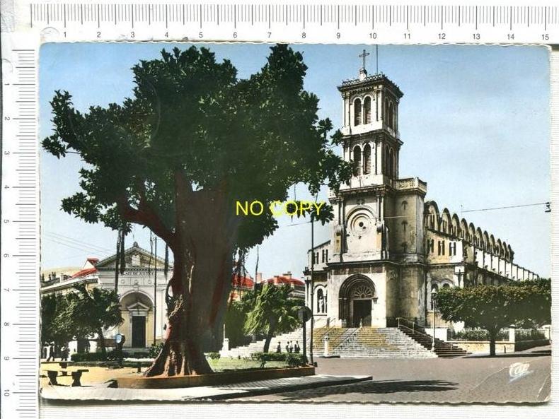 BONE -  La Cathédrale