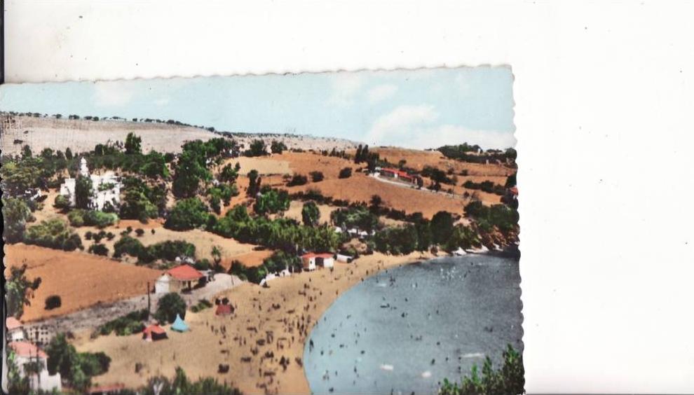 *** ALGERIE - ANNABA - Le Belvédère *** CPSM Voyagée (manque timbre) Edts KANOUI