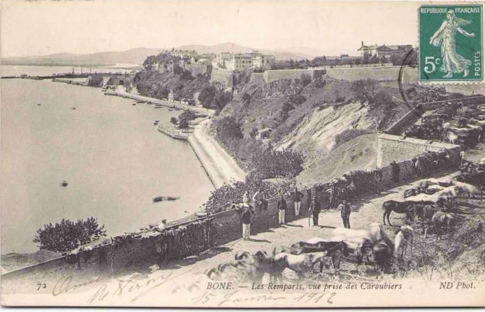 BÔNE - Les Remparts, vue prise des Caroubiers
