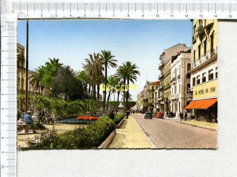 BONE - Les Splendides Jardins du Cours Bertagna  -  Véhicules