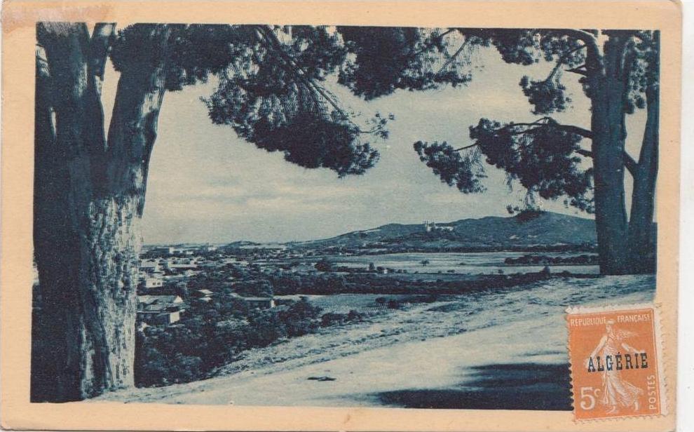 BR45732 Route de Bugeaud  Bone      2 scans