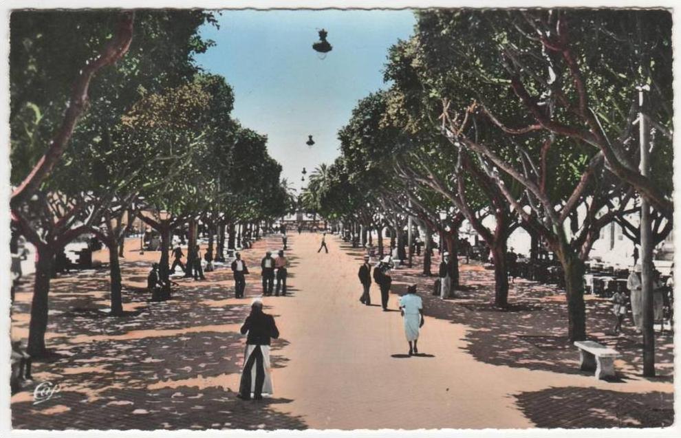 CPSM COLORISEE BONE ( ANNABA ), LE COURS BERTAGNA, format 9 cm sur 14 cm environ, ALGERIE