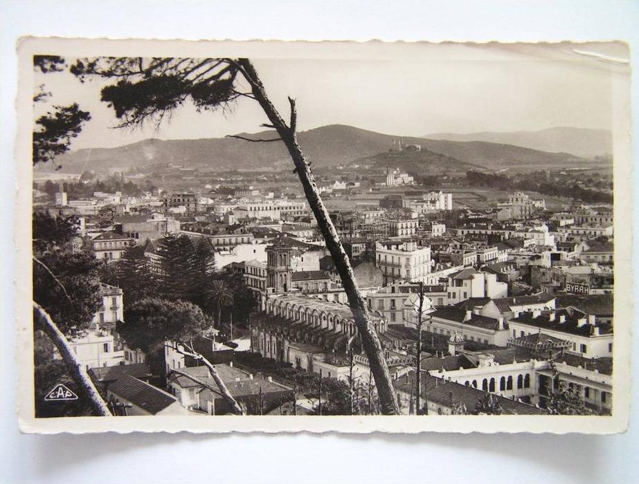 cpsm, carte photo, très belle vue, Bone, panorama vers la basilique