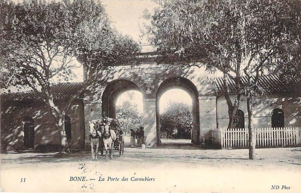 Bone - La Porte des Caroubiers