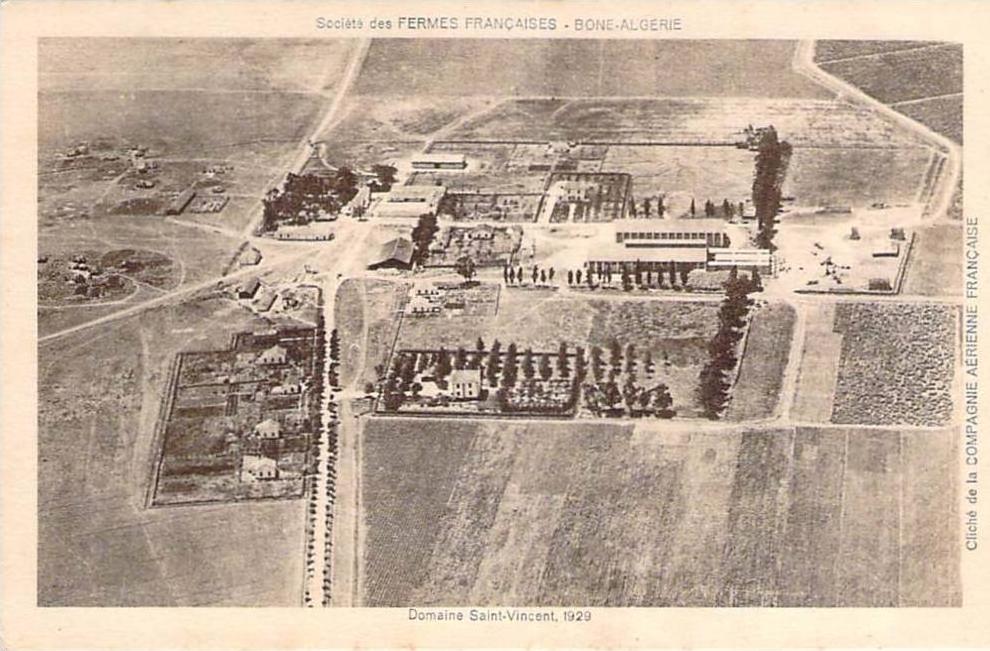 Bone - Société des Fermes Françaises, Domaine Saint-Vincent 1929