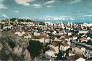 BONE - vue Générale