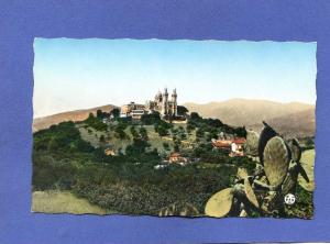 Z - Algérie - BONE - La basilique Saint Augustin - vue de loin - cactus