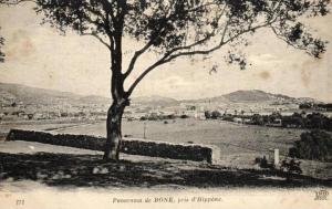Algérie - Panorama de Bône, pris d´ Hippone - 24609