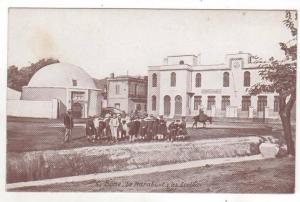 Bône - Le Marabout & les Ecoles