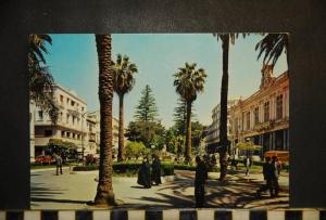 CP, Algérie, Annaba, Cour de la Révolution, voyagée