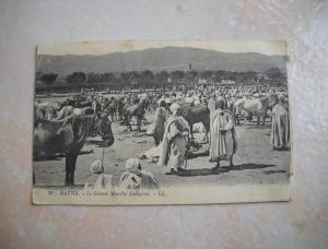 CPA BATNA Le grand marché Indigène - Algérie
