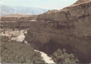 les Palmaries de Ghoufi