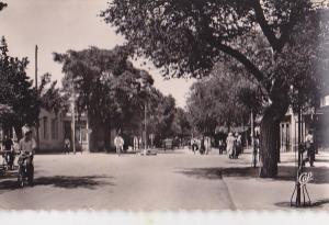 BATNA / L AVENUE DE FRANCE / TRES JOLIE CARTE / EDIT CAP 38