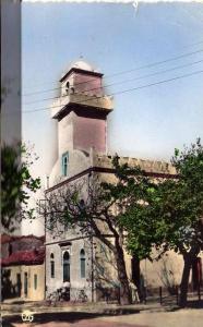 PORT GRATUIT    8270  BATNA