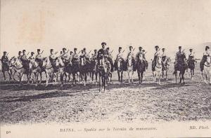 CPA - BATNA - spahis sur le terrain de manoeuvre - 90