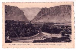 CPA  Dentellée - EL KANTARA BATNA Algérie - Vue d' ensemble de l' Oasis et des Gorges