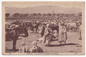 - ALGERIE - BATNA - Le Grand Marché Indigène. -