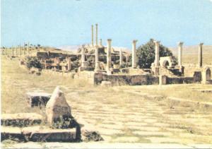 Timgad Batna