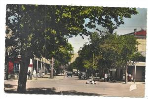 Batna(Algérie)  Avenue de la république env 1952 (anime).