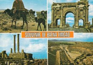 cpm algerie,souvenir de batna timgad,multivues