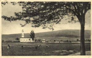 BATNA  La Mosquée  Moutons au paturage   Recto Verso