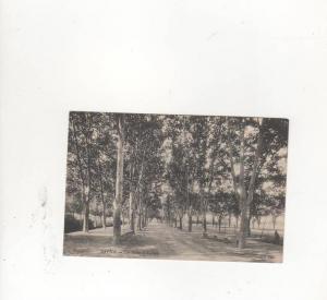 les allées d'aumale