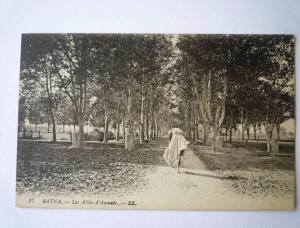 BATNA  (Algérie)    Les  Allées  d'AUMALE
