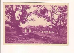 ALGERIE CENTENAIRE EN 1930  TLEMCEN bois des oliviers et tombeaux