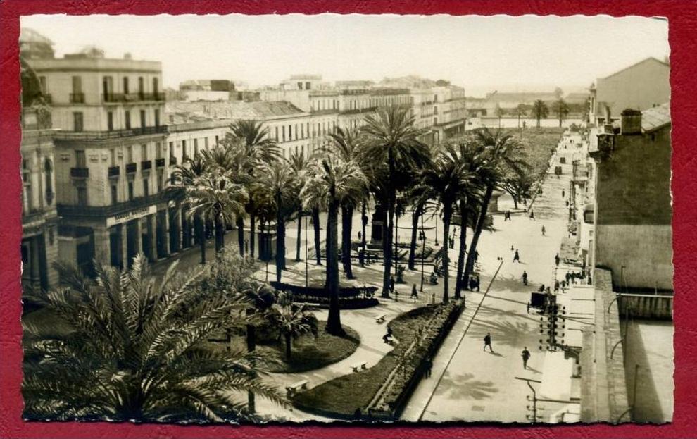 CPSM ALGERIE - BONE - Le Cours Jérome Bertagna - CARTE NEUVE