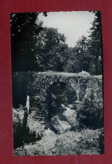 CPSM ALGERIE - BUGEAUD - BONE -  L'Aqueduc Romain (Syndicat D'initiative) - Jourdan 9- Actuel SERAIDI CARTE NEUVE