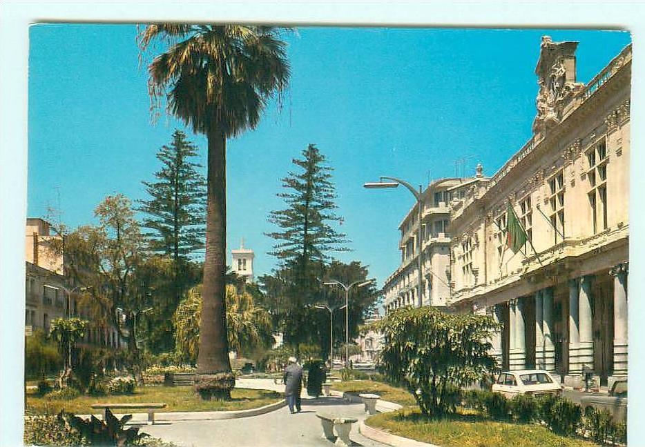 ANNABA / COURS DE LA REVOLUTION / R16