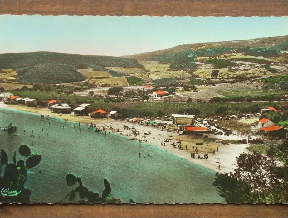 ALGÉRIE - BONE (Constantine) - Plage Toche. (CPSM)