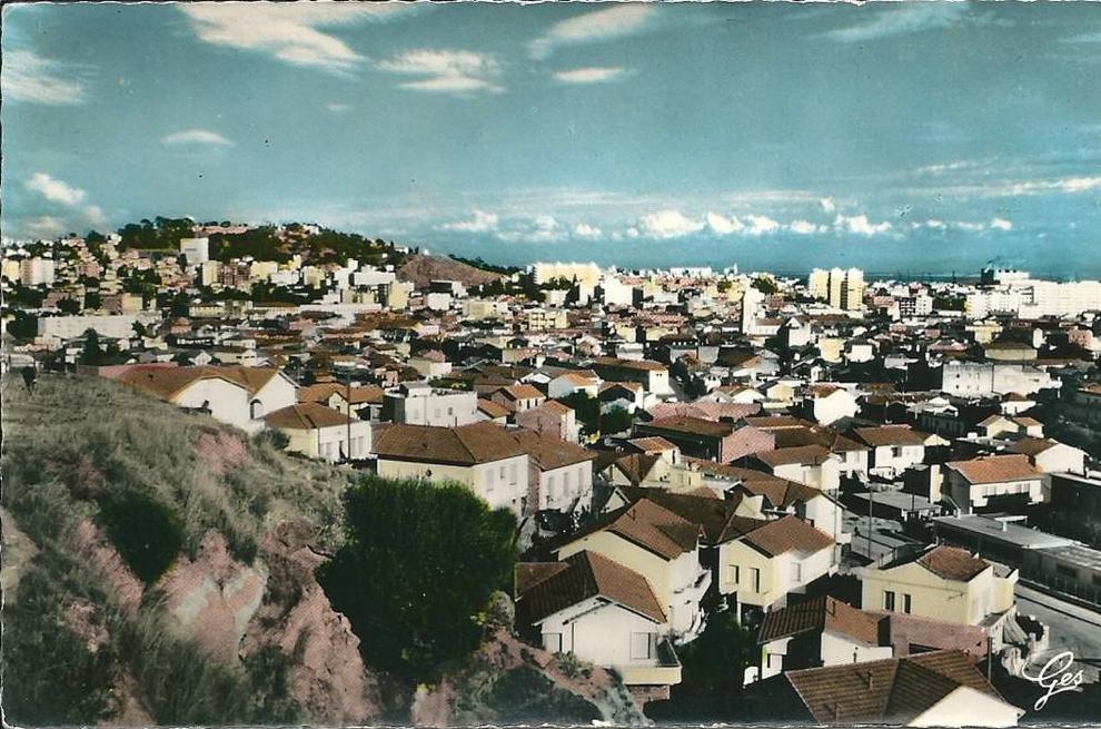 BONE - vue Générale