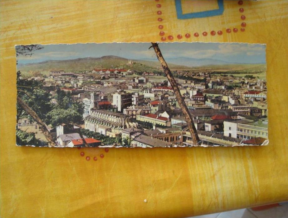 cpsm bone vue generale vers hippone