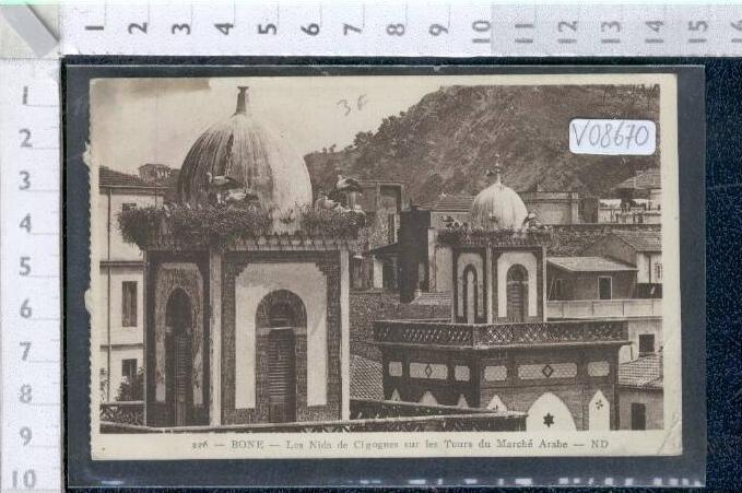 V08670 ANNABA BONE LES NIDS DES CIGOGNES SUR LES TOURS DU MARCHE ARABE CICOGNE