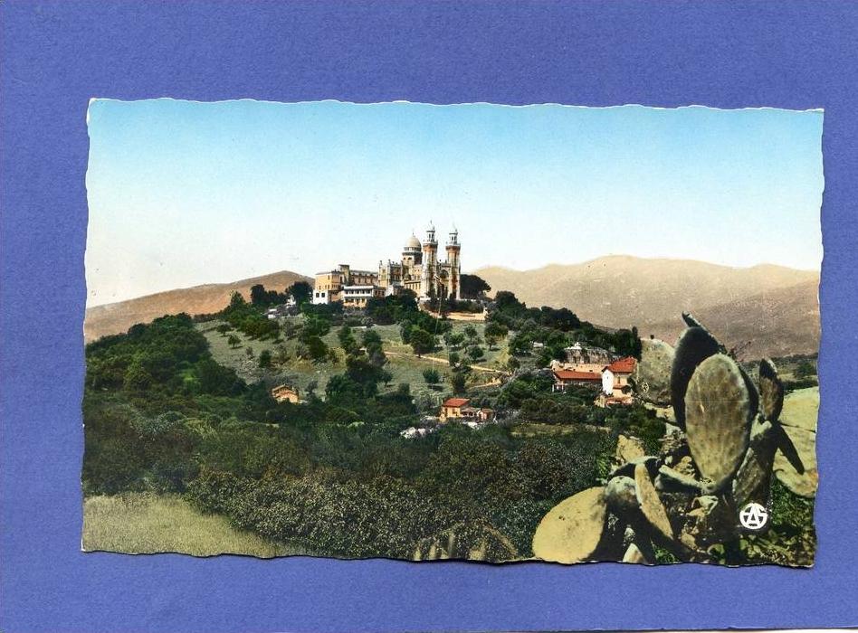 Z - Algérie - BONE - La basilique Saint Augustin - vue de loin - cactus