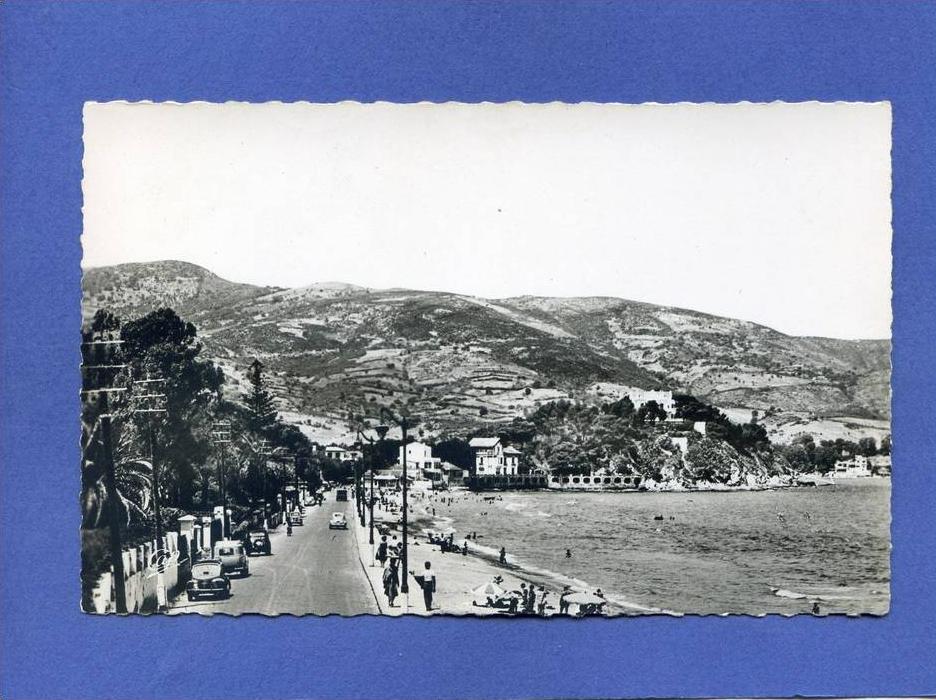 Z - Algérie - BONE - La plage de Saint Cloud - voiture Renault 4 CV - Juva 4