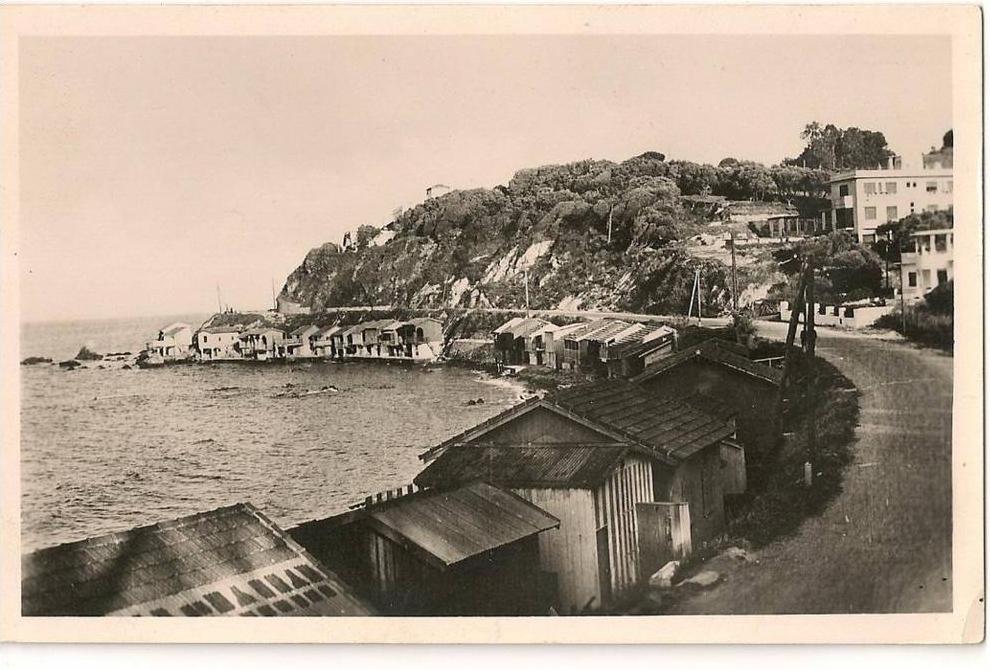 cpsm  bon etat      algérie ,  bone  , annaba , plage de saint-cloud , carte rare , tres propre