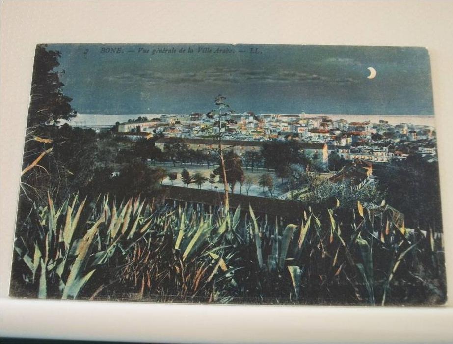 BONE - VUE GENERALE DE LA VILLA ARABE  - 1908 (EDITOR LL. PARIS N° 7)
