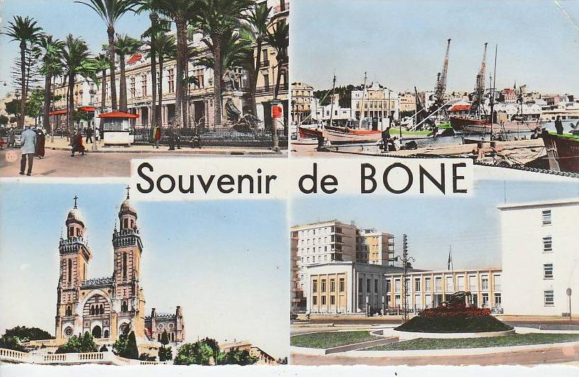 ALGERIE - cpsm BONE - multi vues - nr 74 alexandre sirecky à oran - d19 958