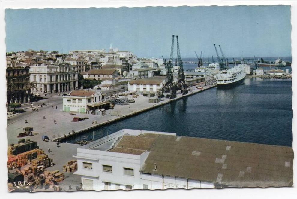 CPSM - ALGERIE - BONE - ANNABA - LE PORT - Coul - Ann 50 -