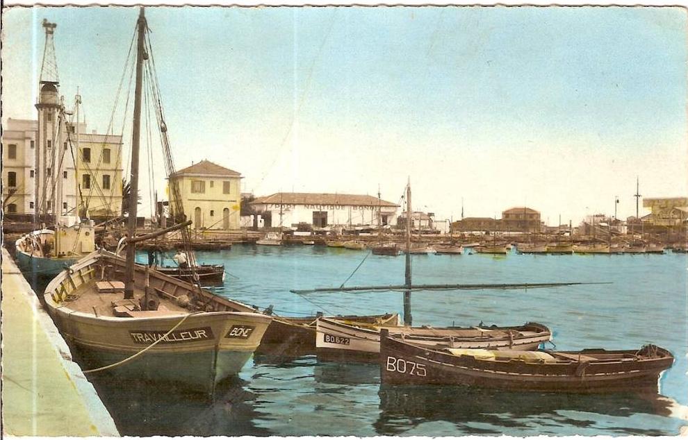 ALGERIEBONE LE PORT N°9005