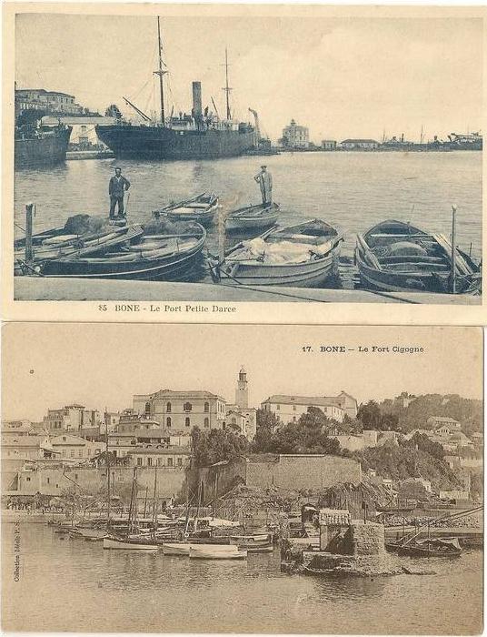 Lot cartes postales port et fort Cigogne de Bone Algérie française 1931