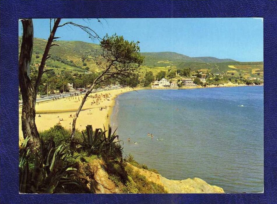 ALGERIE / ALGERIEN    ANNABA  LES PLAGES    / THE BEACH