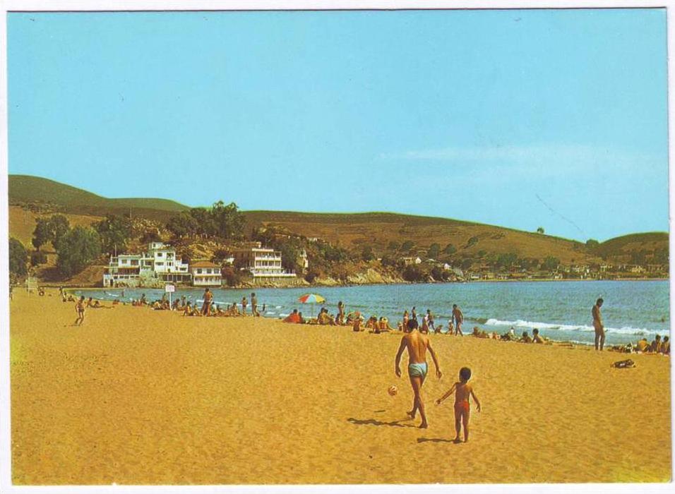 ALGERIE ALGERIA ALGERIEN - CPA - Plage