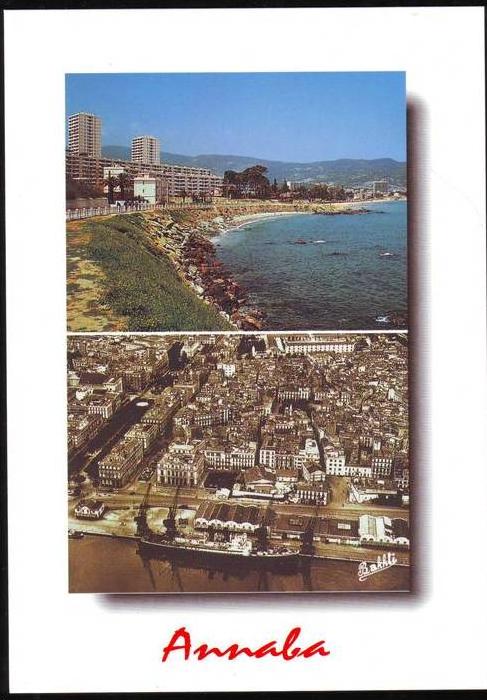 ALGERIE ALGERIA ALGERIEN - CP - Vue générale