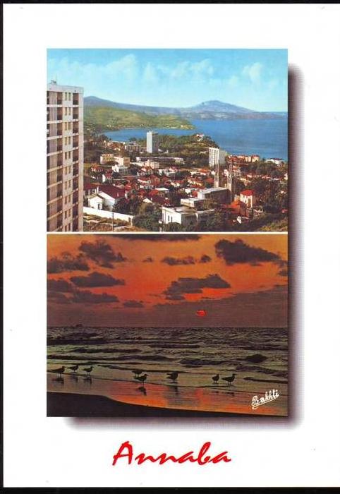 ALGERIE ALGERIA ALGERIEN - CP - Vue générale