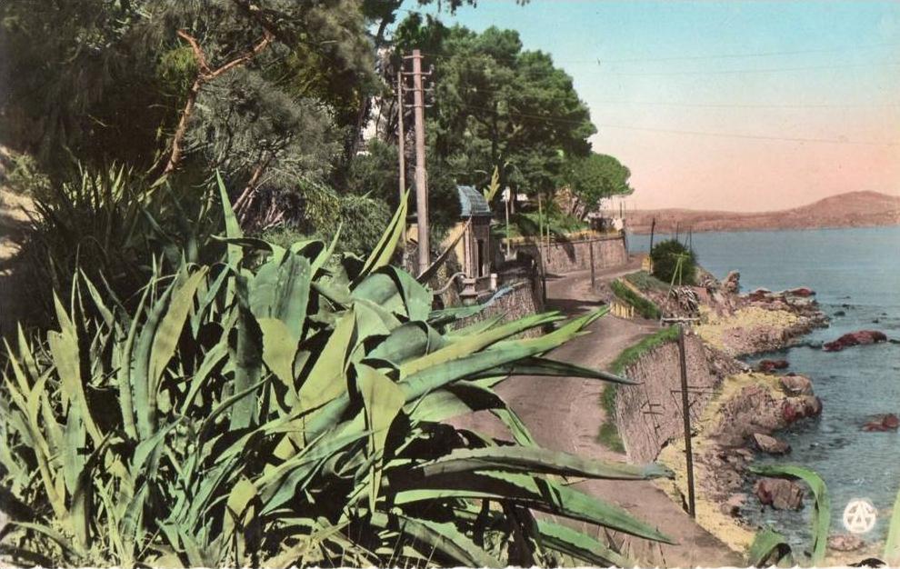 30175     Algeria,  Bone,  La  Corniche,  NV  (scritta)