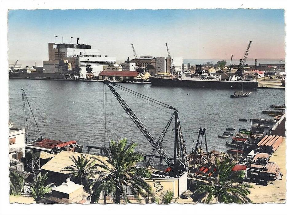 CPSM Bône - Le Port